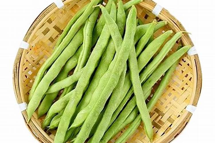 红薯追肥最佳时间