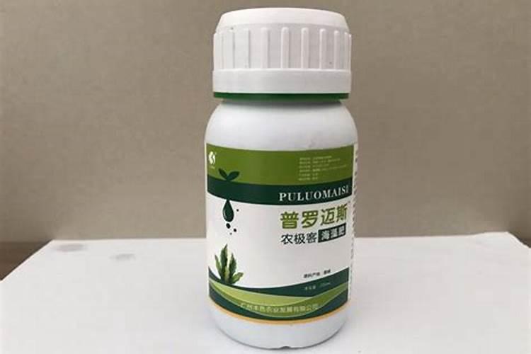 海藻酸肥料功效与特点,是碱性肥料还是酸性肥料