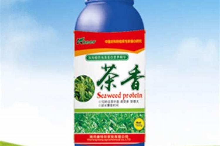 无公害茶叶怎么施肥？详解无公害茶叶施肥技术