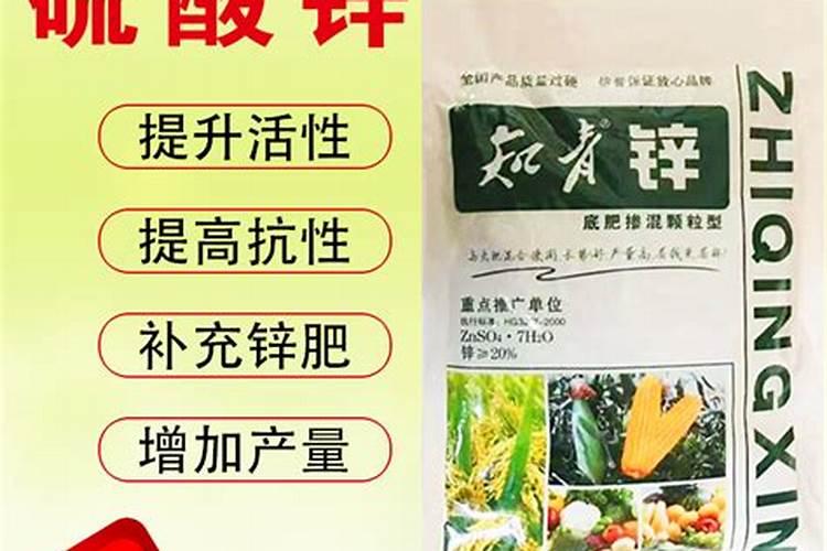 土豆田打封闭药胖墩墩给小麦药着了怎么救？