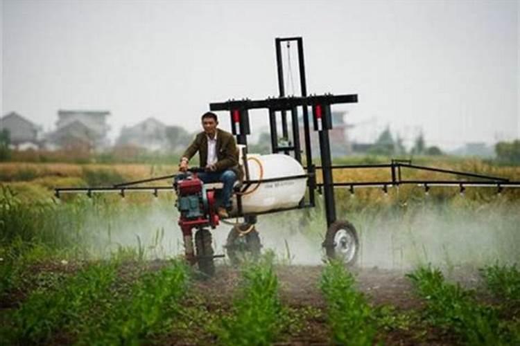 怎样用安其酵母制作叶面肥料