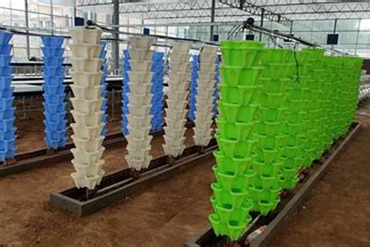 无土栽培的技术要点