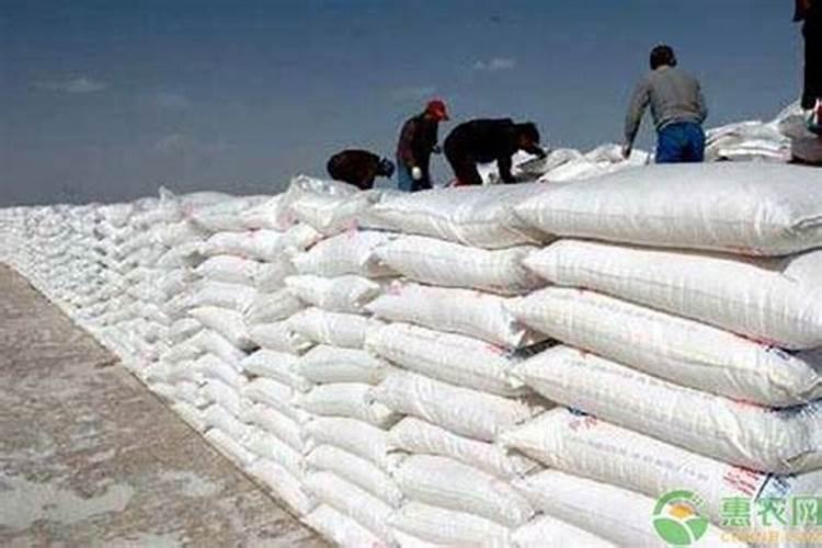 马铃薯到底是施“硫酸钾”好,还是“氯化钾