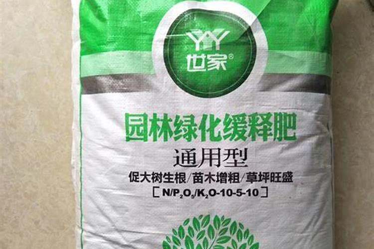 桂花树专用肥有哪些 施肥注意事项