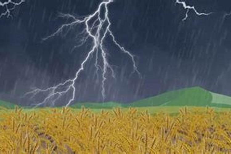 下雨时打雷是施氮肥吗？