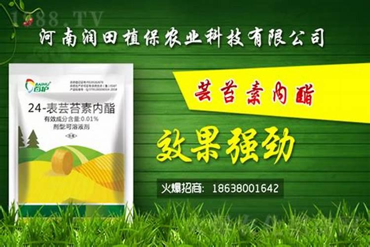种高粱用氯化钾行吗？