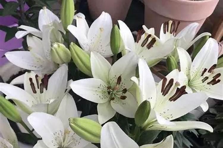 请问一下各位,春季3月份需要给果树打什么药？