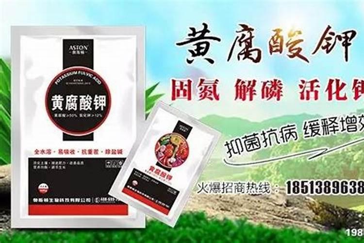 黄腐酸钾多少钱一点吨