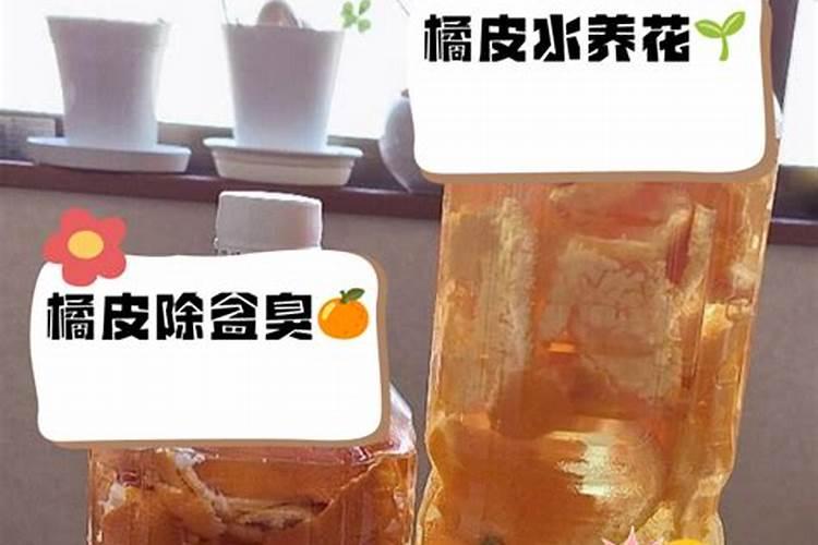 橘子皮是磷肥还是钾肥