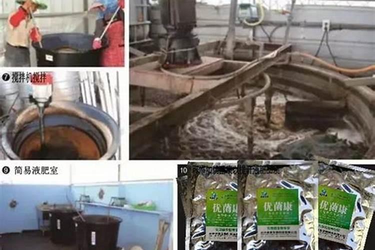 农业界的黑科技:核苷肽引领种植业走向更可持续发展!