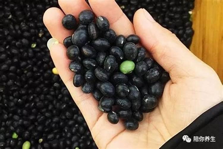 黑豆泡水里3个月后用黑豆当肥料上花可以吗？