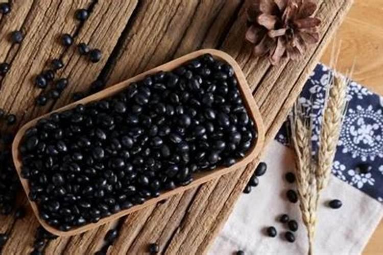 黑豆发酵水可以浇灌哪些花？黑豆泡水浇花好不好？