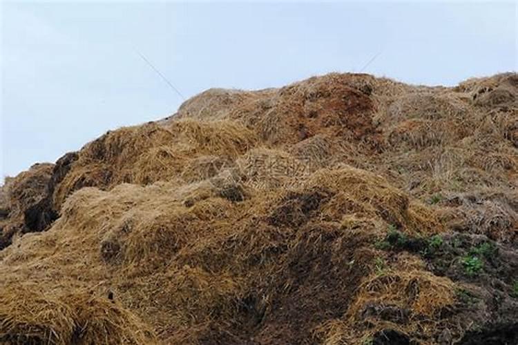 稻草有何利用价值呢能做什么