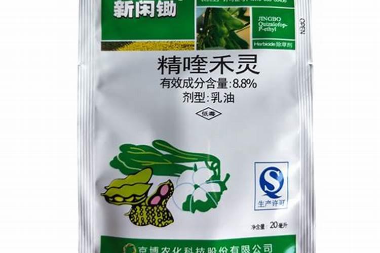 磷肥适合浇什么花