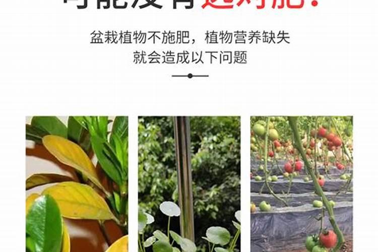 什么样的肥是氮肥