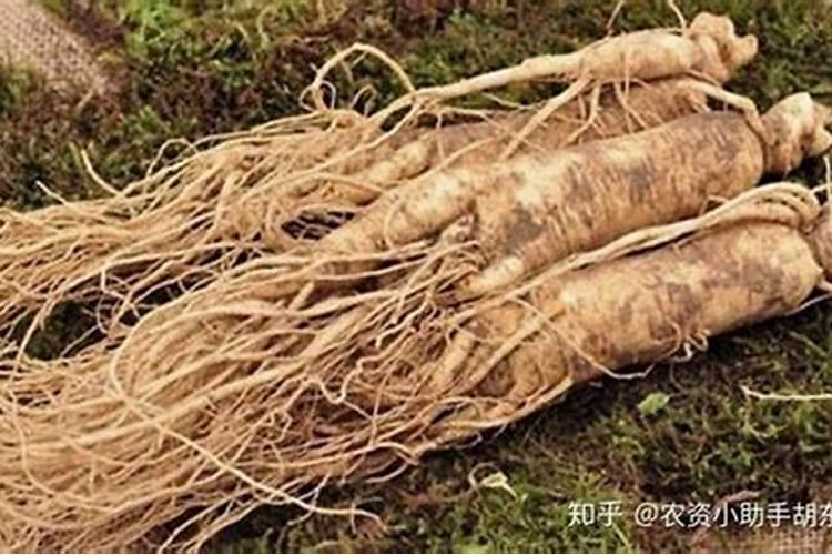 不同钾肥的适用作物和注意事项有哪些？