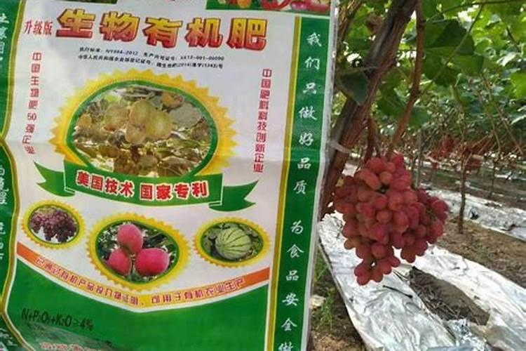 水稻抗倒伏能用抗倒脂吗