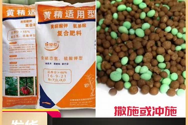 为什么种植油菜要增施硼肥？硼肥有什么作用？