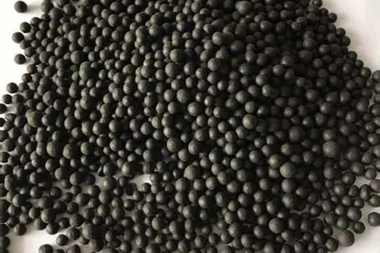 鱼的蛋白质转化成什么被吸收？ 鱼的脂肪转化成什么被吸收？