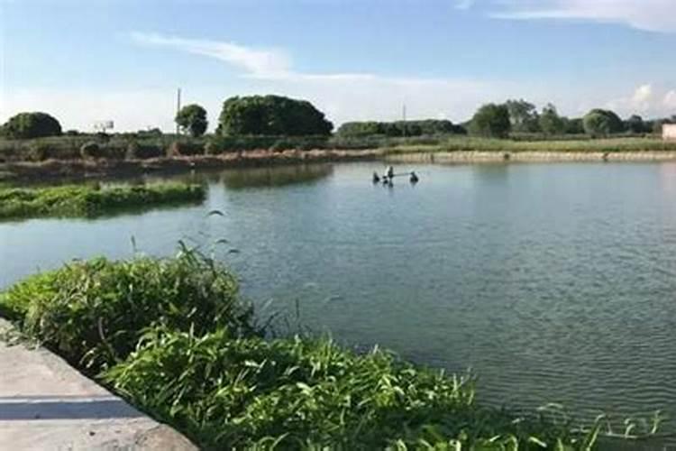 施化肥究竟是雨前,还是雨后好？