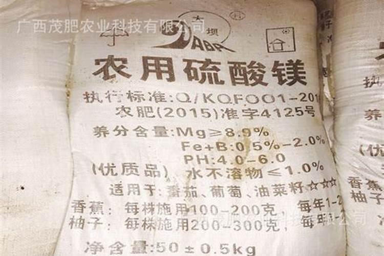 玉米什么时候控旺