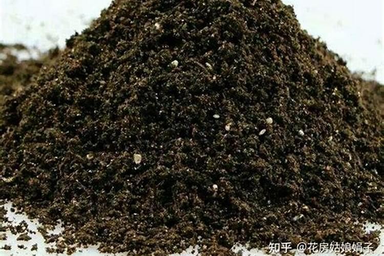 营养土多久后需要施肥