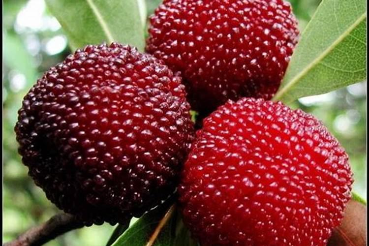 沧州大化集团有限责任公司企业历程