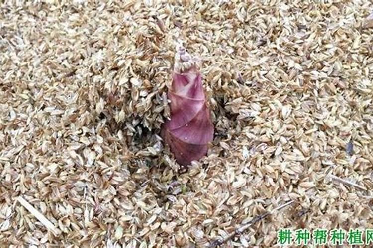 氮磷钾复合肥是什么肥料