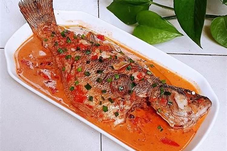 鱼蛋白在西红柿转色用好