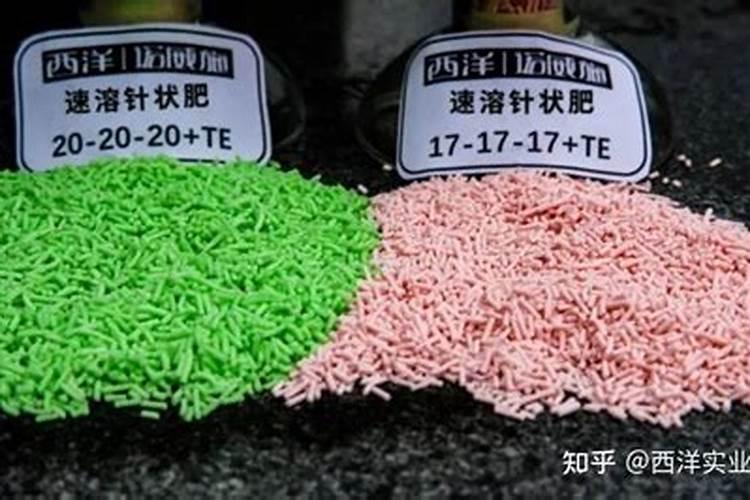 金弹子用什么肥料最好