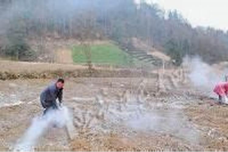 哪些蔬菜化肥不能混施,蔬菜不能混施的化肥有什么