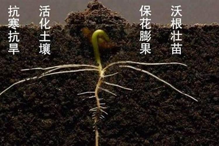 草坪养护日程安排表