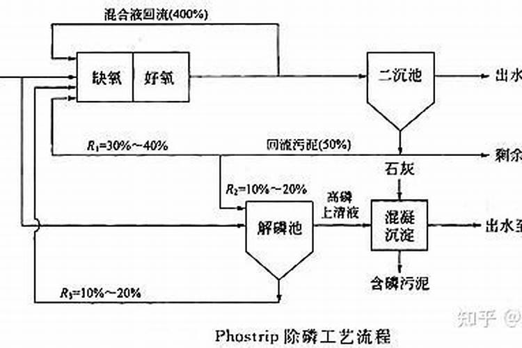植物是怎么吸收磷的？