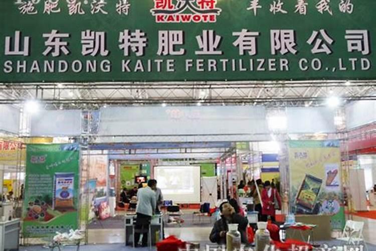 夏天开花的花有哪些