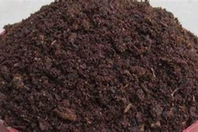 水溶性蛋白是什么