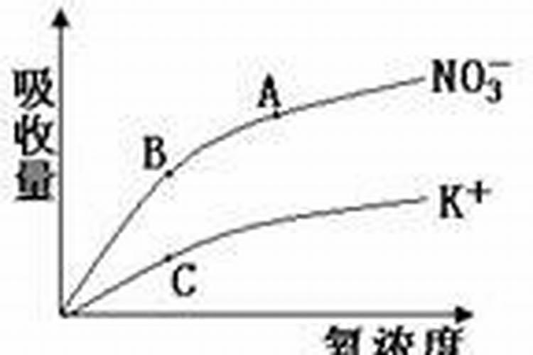 钾肥是什么肥料 钾肥是哪种肥料