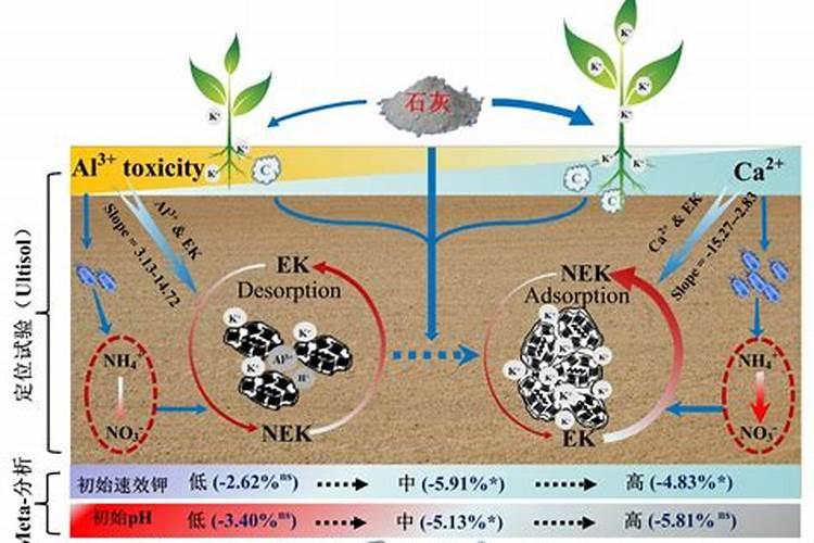 钾肥施用后连续4–5天下雨有影响吗？