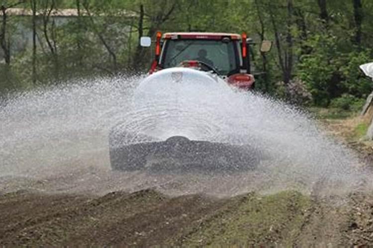 如何在家里自制肥料 家庭自制辣椒肥料方法