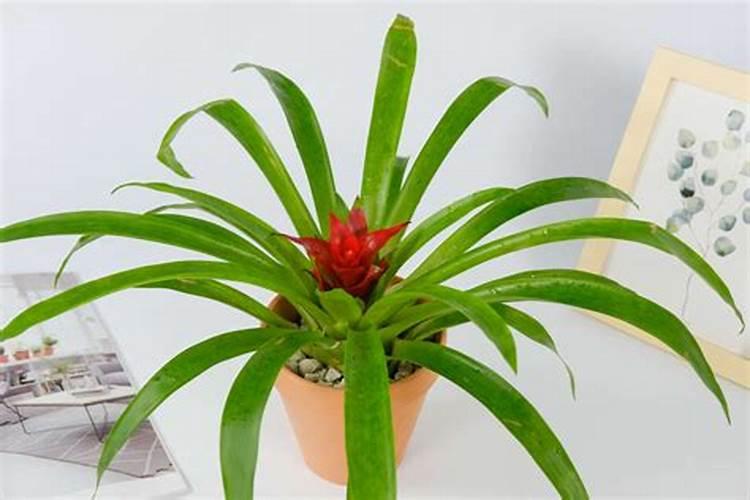 怎样鉴别尿素求解