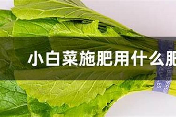 矿物油对柑橘树危害大吗 果农这样使用矿物油才安全