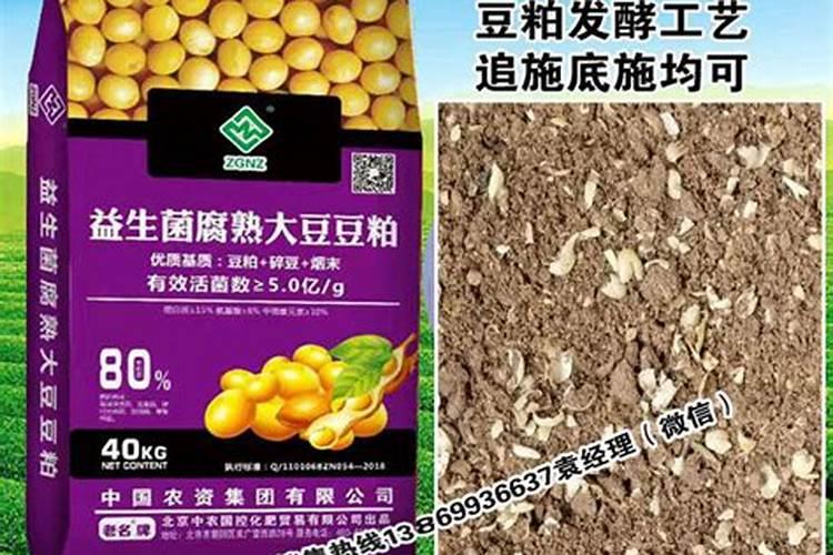 玉米施锌肥的最佳时间 使用方法及注意事项