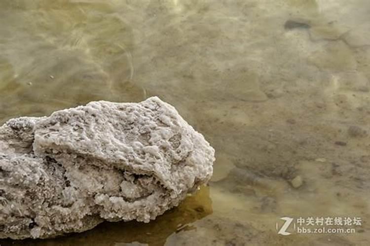 盐湖股份公司简介