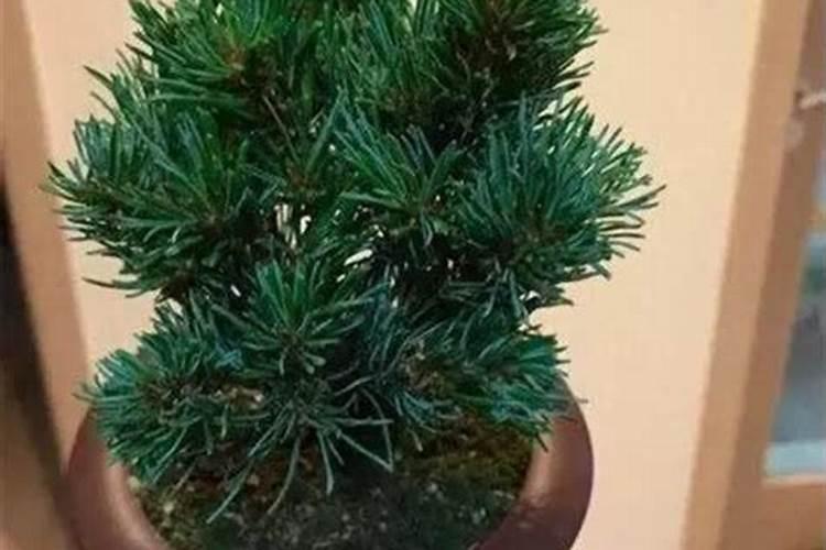 铅硼聚乙烯的材料解析