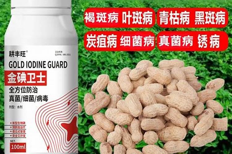 花生叶斑病用什么杀菌剂好