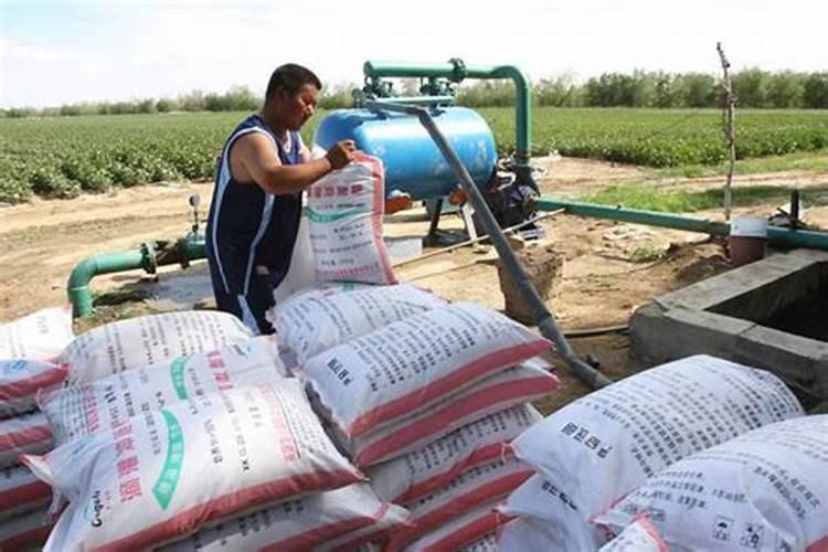 怎样从复合肥包装袋上鉴别复合肥的真假？ 前辈们教教我吧。