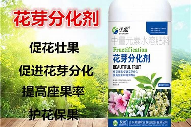 颗粒硼肥的正确使用方法