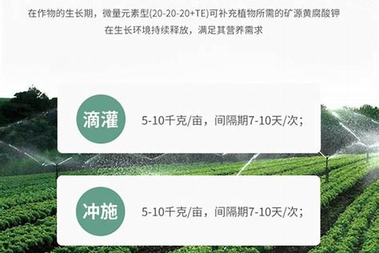 醋酸钾的结构式为什么是这样的？