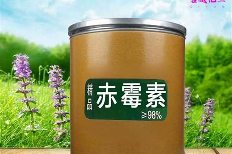 硼砂施肥的正确方法