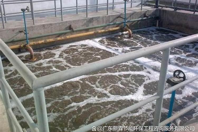 猪粪脱水后水怎么处理