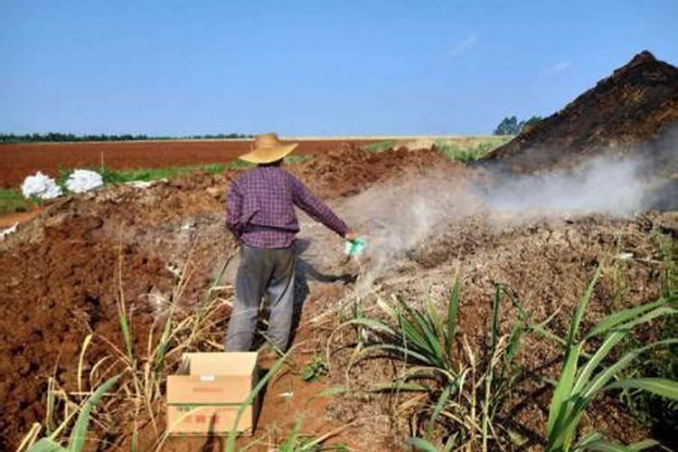 月季多久可以浇一次水溶肥